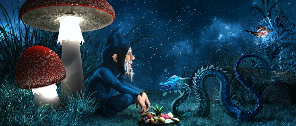 Elementals and Earth Spirits - The Psychic School