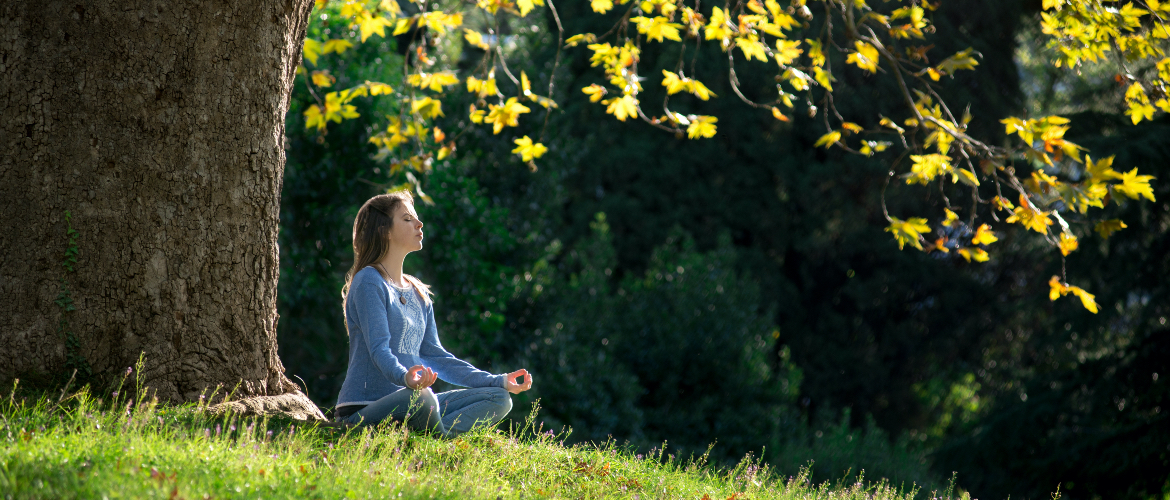 The Psychic Toolbox - The Grounding Cord - The Psychic School