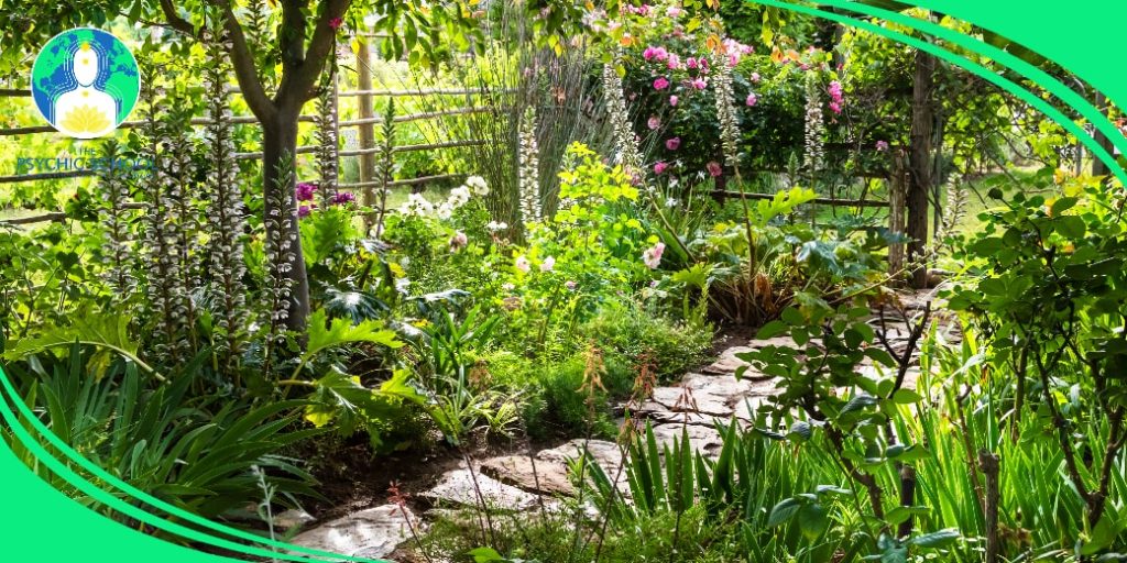 Psychic Abilities Workshop: Caring for Plants (MP3)