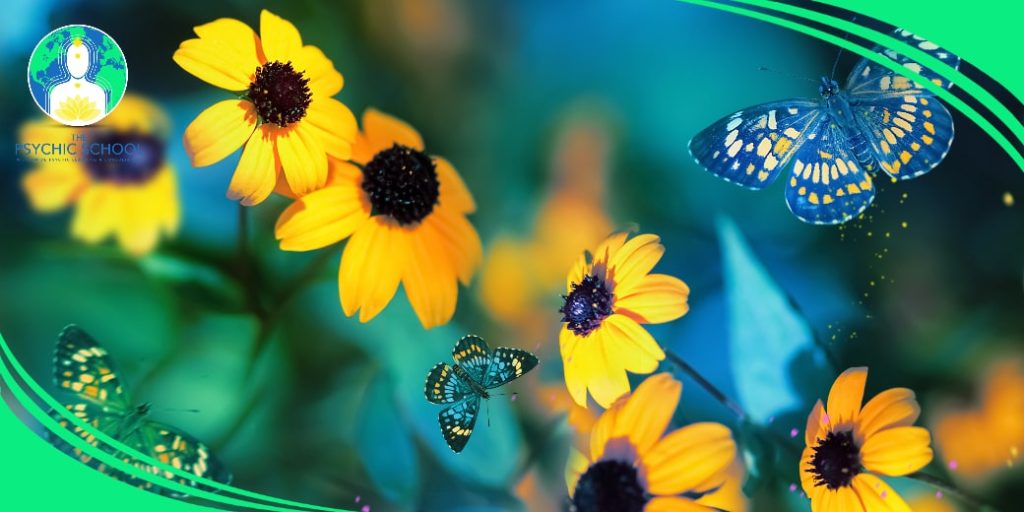 Psychic Abilities Workshop: Magical Calls of Plants and Animals (MP3)